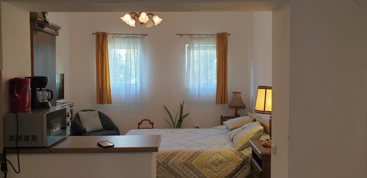 Cozy Home In The Heart Of Cluj-Napoca Eksteriør bilde